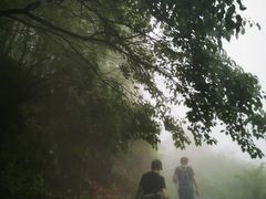 -阳台山自然风景区