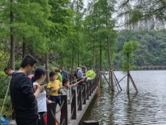 -重庆彩云湖湿地公园