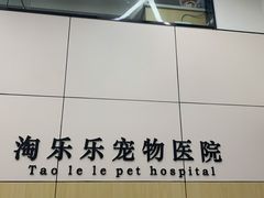 -凯瑞希宠物医院·狂犬免疫·微创·皮肤科