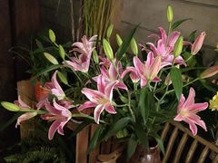 -春暖花开(西溪店)
