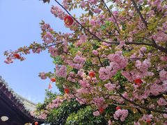 -龙华寺