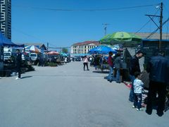 android_upload_pic-长宁东道花卉宠物市场