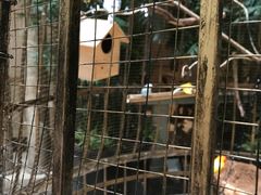 -茵特拉根酒店·西餐厅