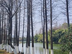 -艾溪湖湿地公园