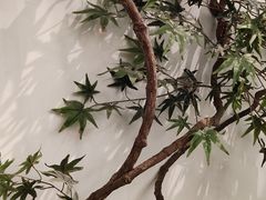-耳艺采耳·足疗·按摩SPA(市桥店)