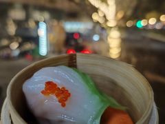 -广州都市观光巴士(粤陶巴)