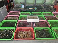 -众味海鲜大排档·活海鲜·潮汕味(南澳店)