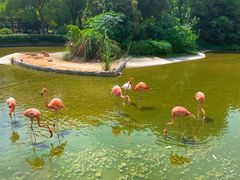 景点-常州淹城野生动物世界