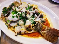 葱油淋罗飞鱼-喜运来酒楼(江南大道店)
