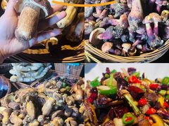 -菌山里·野生菌猪肚包鸡(阳光花园店)