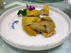 咸草鸡-金八仙酒店