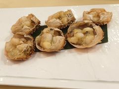 -王宝和酒家(黄浦店)
