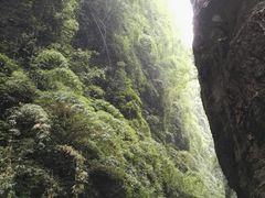 -阿依河景区