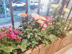 -衡地道·三菜一汤(水岸新城店)