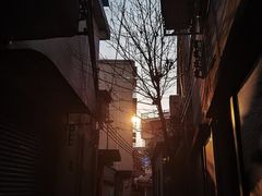 -奇香楼(五眼桥横街店)