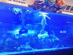 -成都浩海立方海洋公园