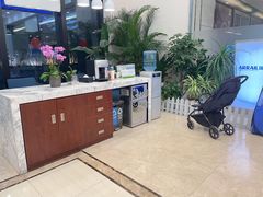 -瑞尔齿科(颐堤港诊所)