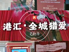 -港汇恒隆广场