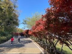 -南京市江宁方山