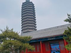 -西海子公园