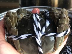 -七的湖·晚芳亭·阳澄湖农家菜·大闸蟹(莲花岛店)