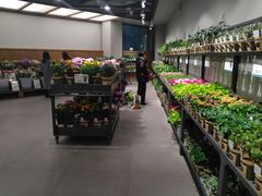 -鹿岛会员店 (龙湖三千集天街店)