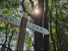 -火炉山森林公园