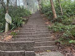 -梧桐山风景名胜区