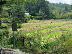 -山王坪喀斯特国家生态公园