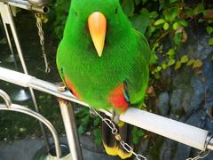 -西霞口神雕山野生动物世界