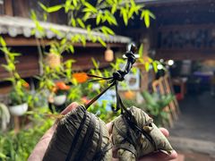 -龙姐私房菜(和顺古镇店)