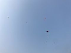 -春花秋色城市公园