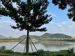 -风云岭森林公园