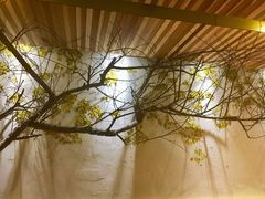 -渔太泰漓江小馆·广西融合菜(西街店)