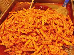 -周小亮丁家坡洋芋(全国总店)