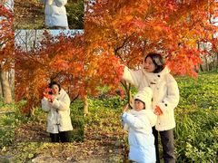 -上海海湾国家森林公园