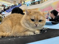 -吾悦广场(南京鼓楼店)