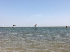 -碧海金沙