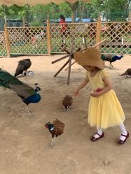 -萌宠亲子动物乐园(槐房万达店)