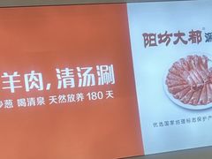 -阳坊大都涮羊肉(阳坊总店)