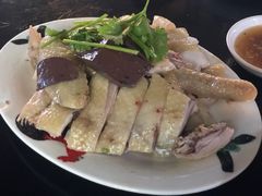 -文昌鸡饭店110号(中山路店)