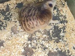 -奎屯友好时尚购物中心