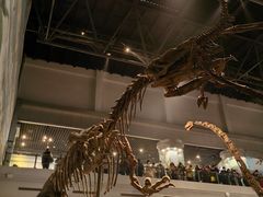 -自贡恐龙博物馆