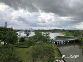 上午远眺深圳湾人才公园