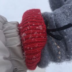 -大秃顶子山