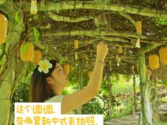 -蔡家宅