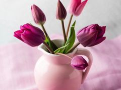 -绝味鸭脖(香港名都店)