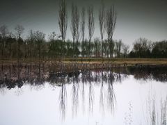 -大兴滨河森林公园