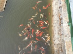 -清风小镇闯关东影视基地