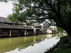 -乌镇东栅景区